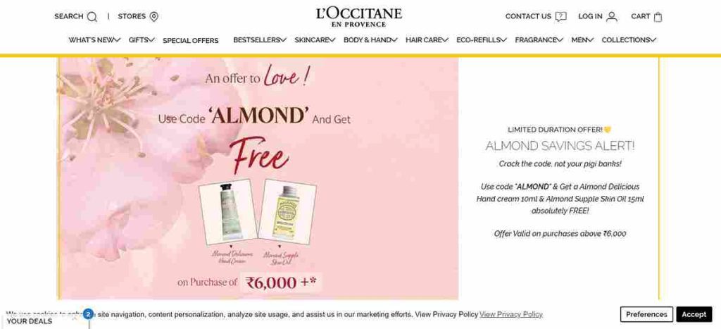 Engaging Small Business Audiences through Ephemeral Content and FOMO Marketing in 2024 - L'Occitane en Provence - Small Business Web
